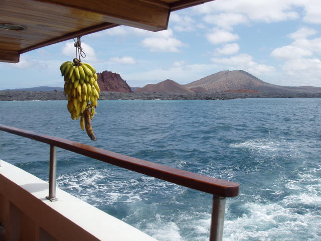 bananas on boat - free image