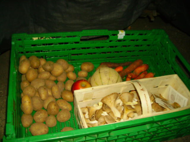 basket with vegetables - free image