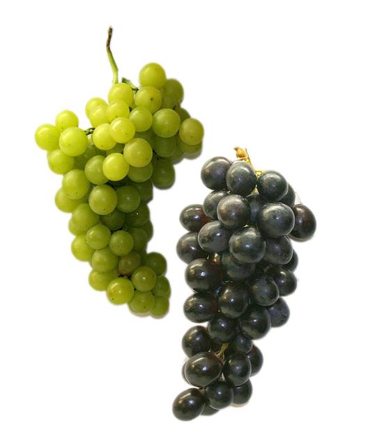black and green grapes - free image