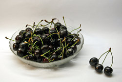 bowl full of black cherries