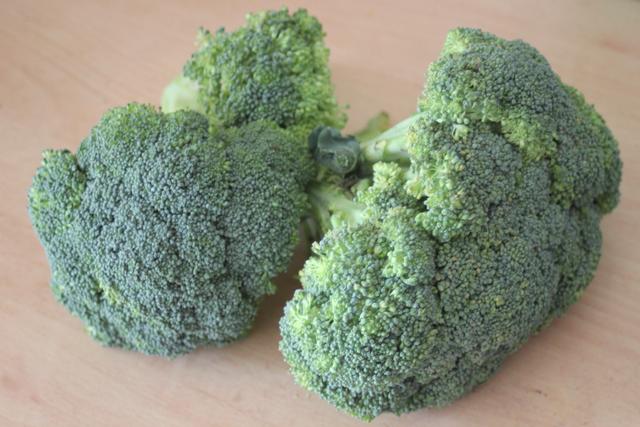 broccoli - free image