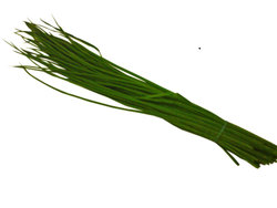 bundle of chives