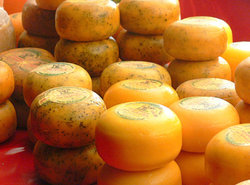 cheese of different varity