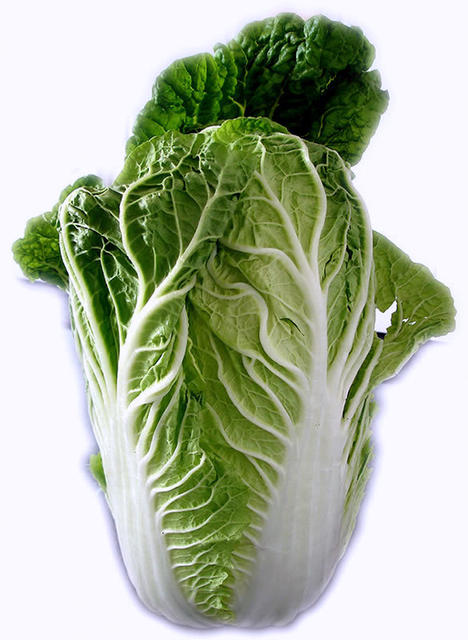 Chinese cabbage - free image