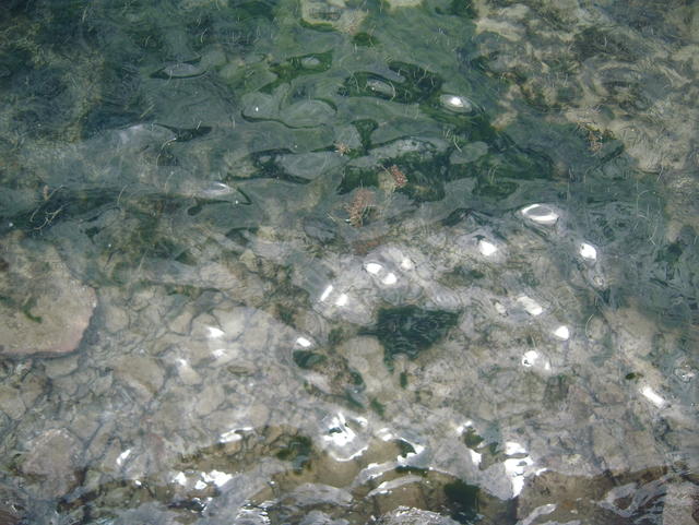 clear sparkling water - free image