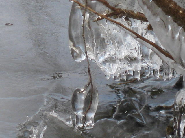 damage by icicles - free image