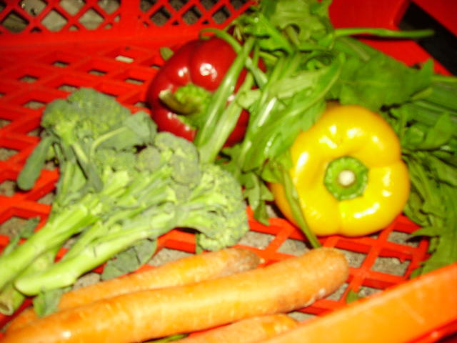 Fresh and colorful vegetables - free image