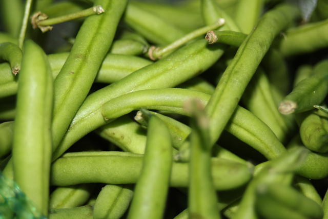 fresh beans - free image