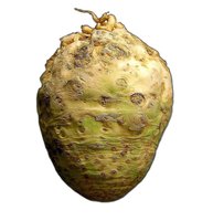 gnarly celery root