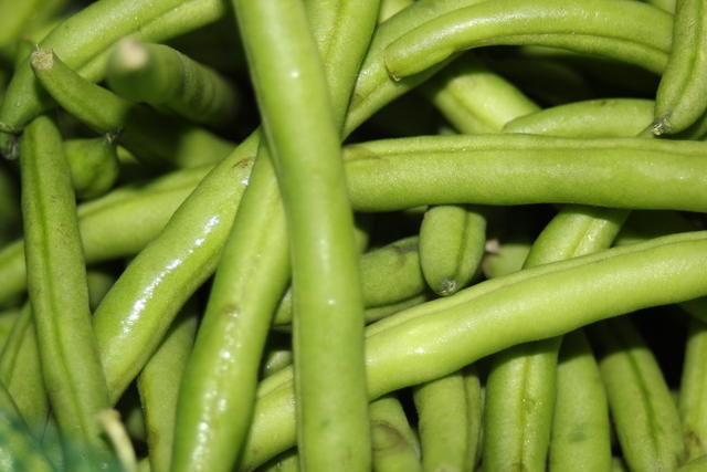 Green beans - free image