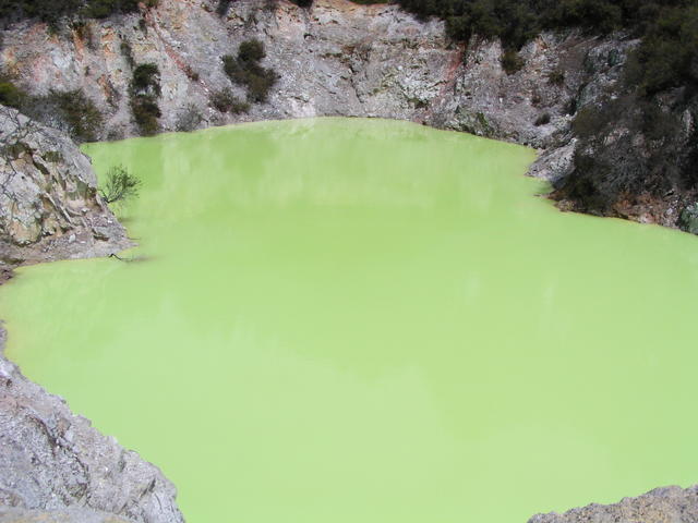 green pool - free image