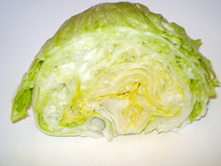 half iceberg lettuce
