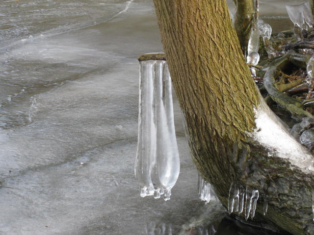 Ice sculpture - free image