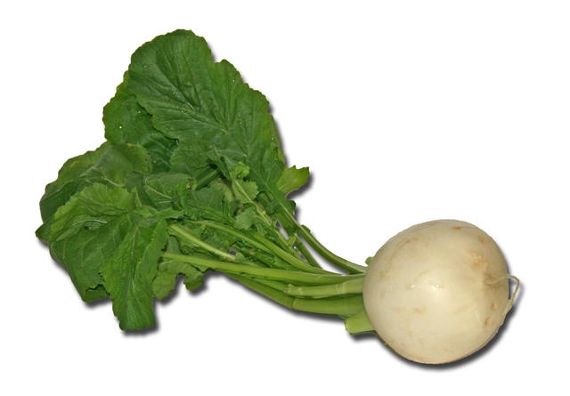 may turnip - free image