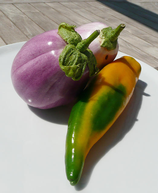 paprika sweet pepper - free image