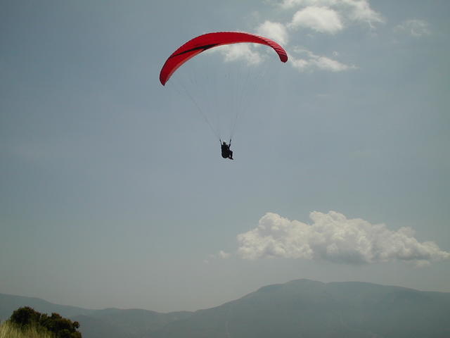 paragliding - free image