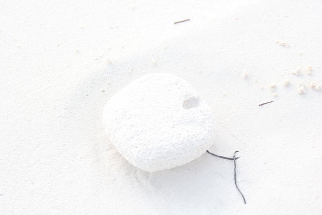 pebble on beach - free image