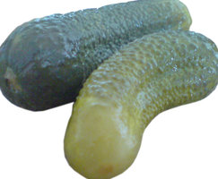 pickeld cucumber