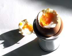quarter boiled egg
