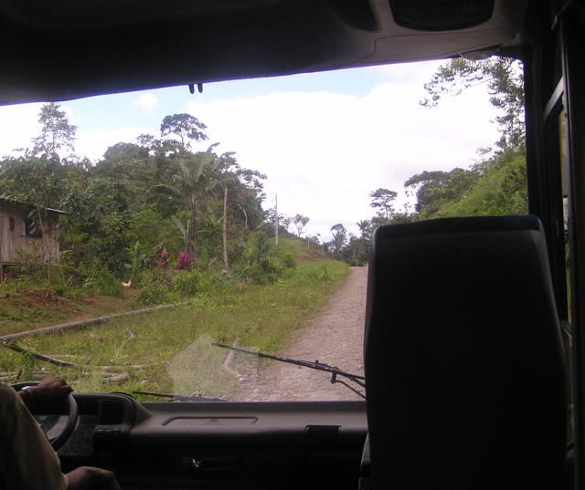 Road between jungle - free image