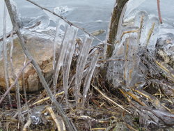 spikes of ice