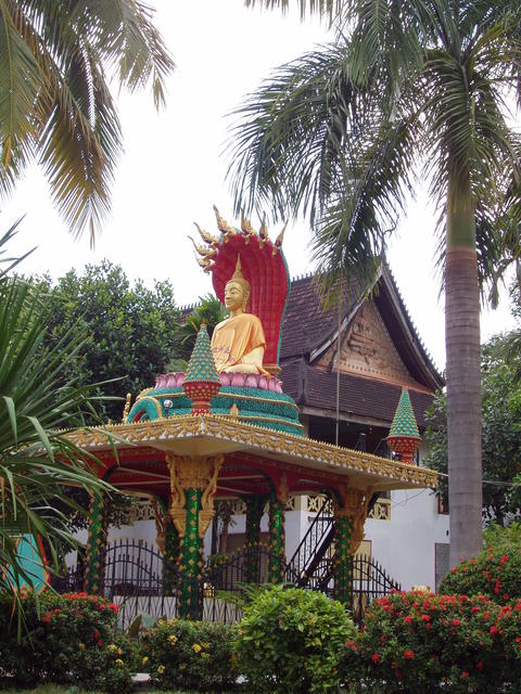 statue of buddha - free image