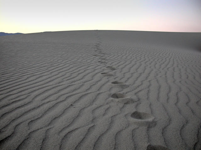 Steps in desert - free image