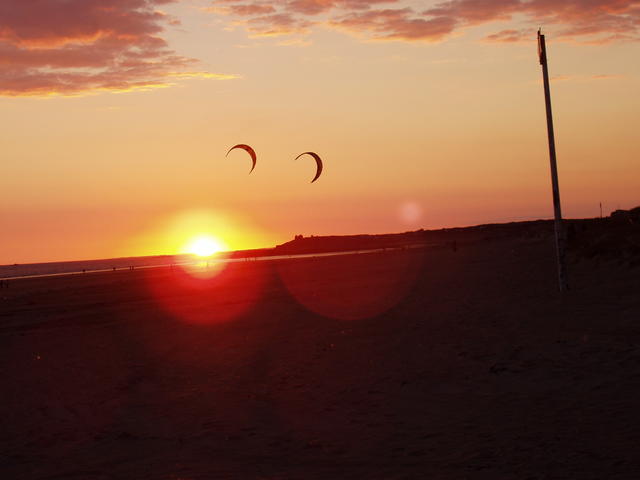 sunset and kites - free image