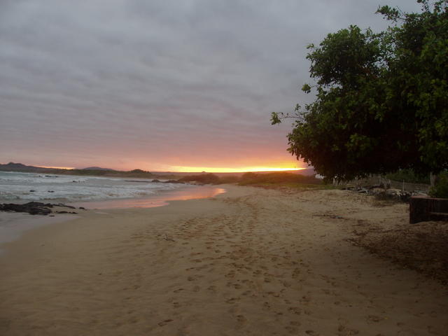 sunset on exotic beach - free image