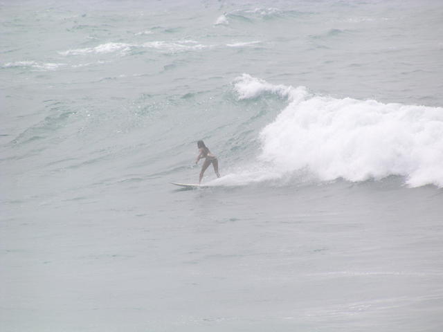 Surfing - free image