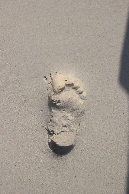 the visitor's foot print - free image
