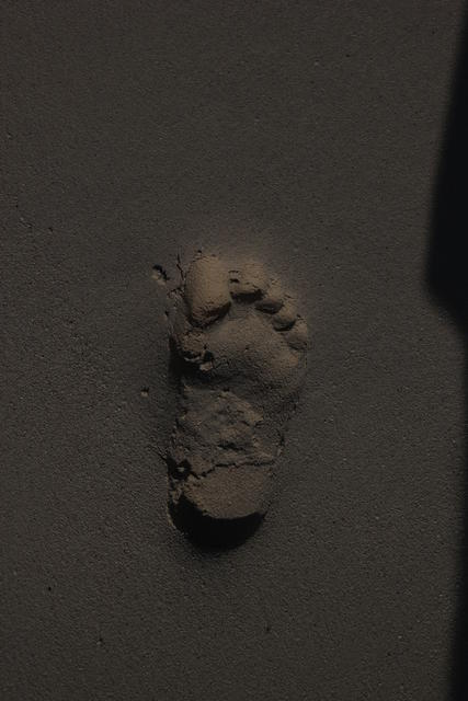 tracking footprints - free image