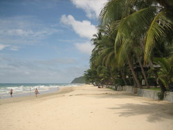 tropical beach