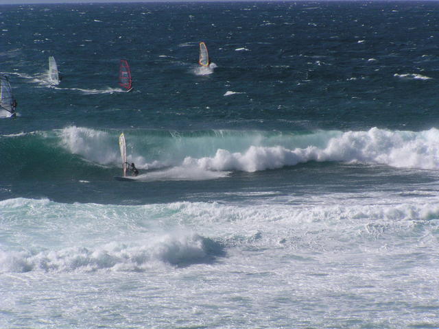 Wind surfing - free image
