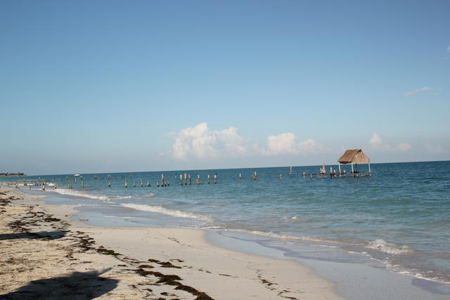 - free photo - free image