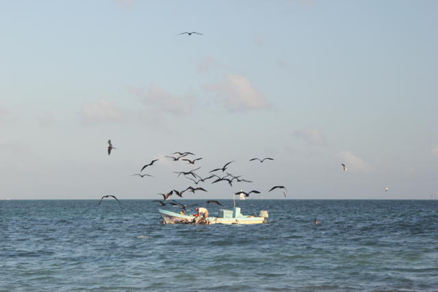 a fishing boat - free image