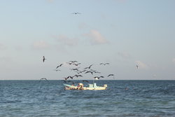 a fishing boat