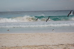 a flight towards the sea