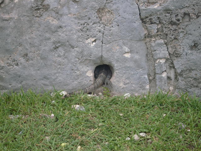 a hole in the stone wall - free image