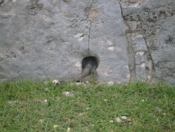 a hole in the stone wall