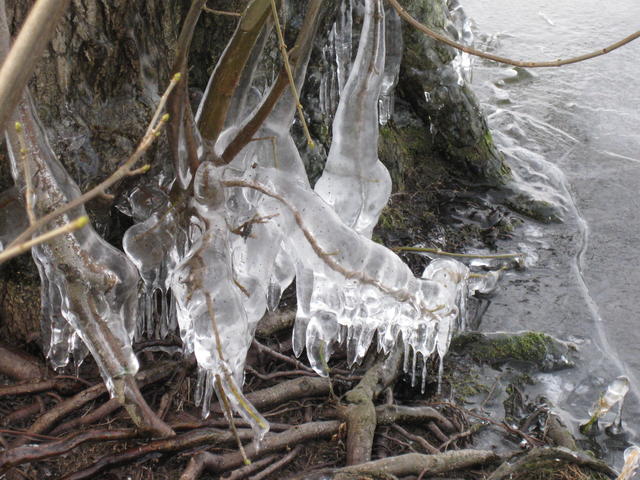 A tapering spike of ice - free image