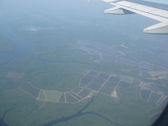 aerial view - free image