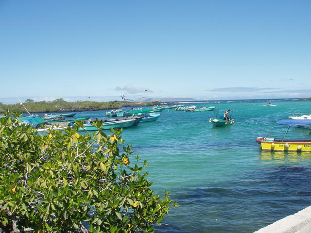 anchored fishing boats. - free image