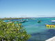 anchored fishing boats.