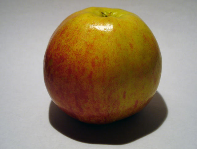 apple with it's shadow - free image