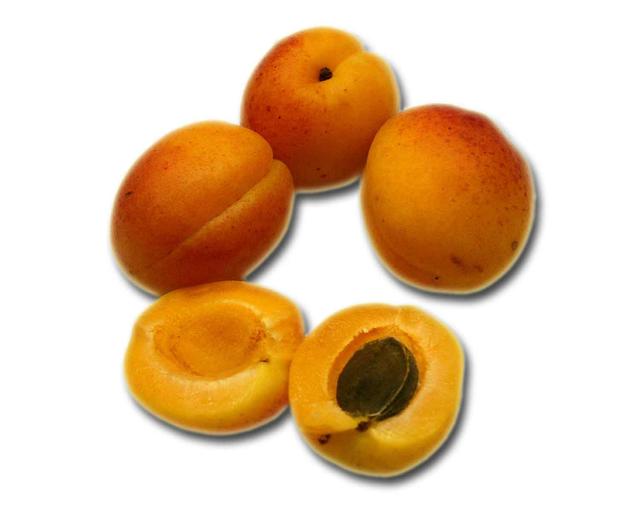 apricots - free image