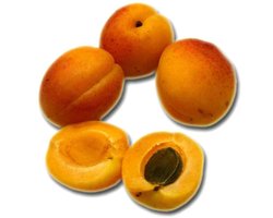 apricots