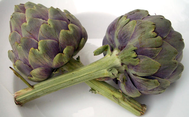 artichokes - free image