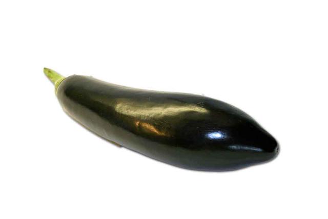 Aubergine - free image