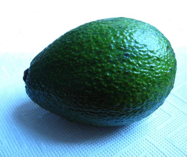 Avocado - free image